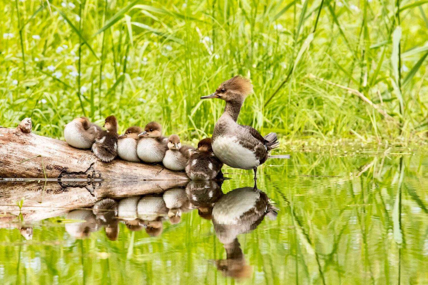 Photo by Mick Thompson